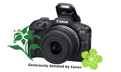 Win 1 of 3 Canon Rebel R100 Cameras