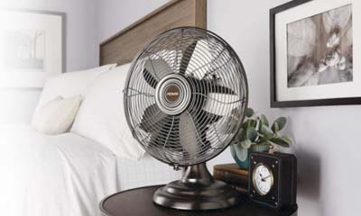 Free Noma Lighting & Fall Essentials