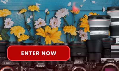 Win a $1,000 Camera Canada Gift Card