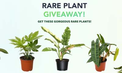 Free Rare Plant and Subscription to Flora Plus