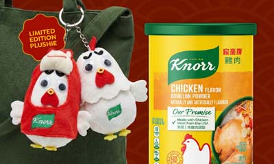Free Knorr Chicken Powder and Plushie